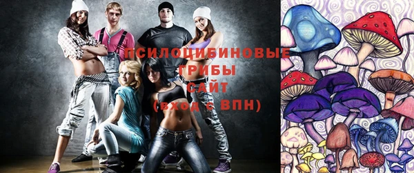 круглые Бронницы