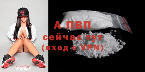 шишки Богородицк