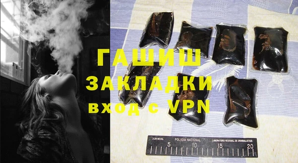 шишки Богородицк