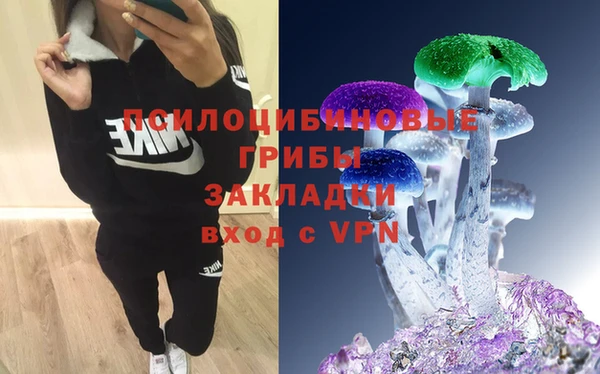 шишки Богородицк