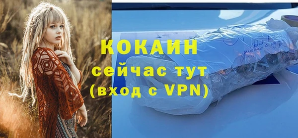 хмурый Каменка