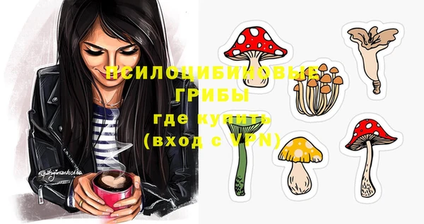 MDMA Premium VHQ Каменск-Шахтинский