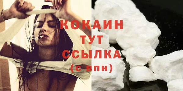 шишки Богородицк